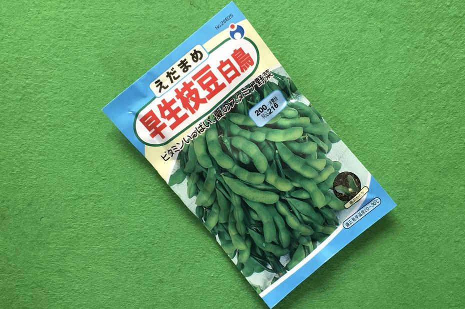 2016菜園枝豆