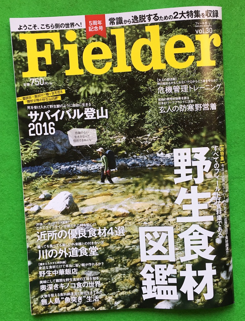 Fielder、Vol30