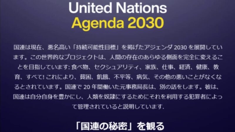 国連の秘密、日本語字幕版
